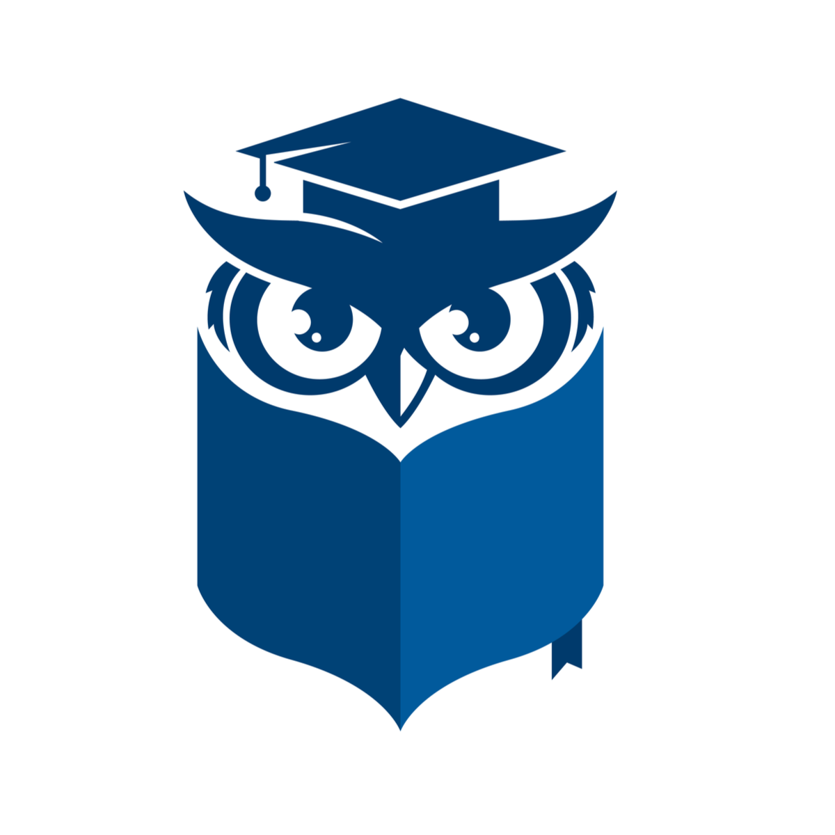 Owl studying indication of the evidence based approach we take at wimbledon chiro & Sports Injury Clinic