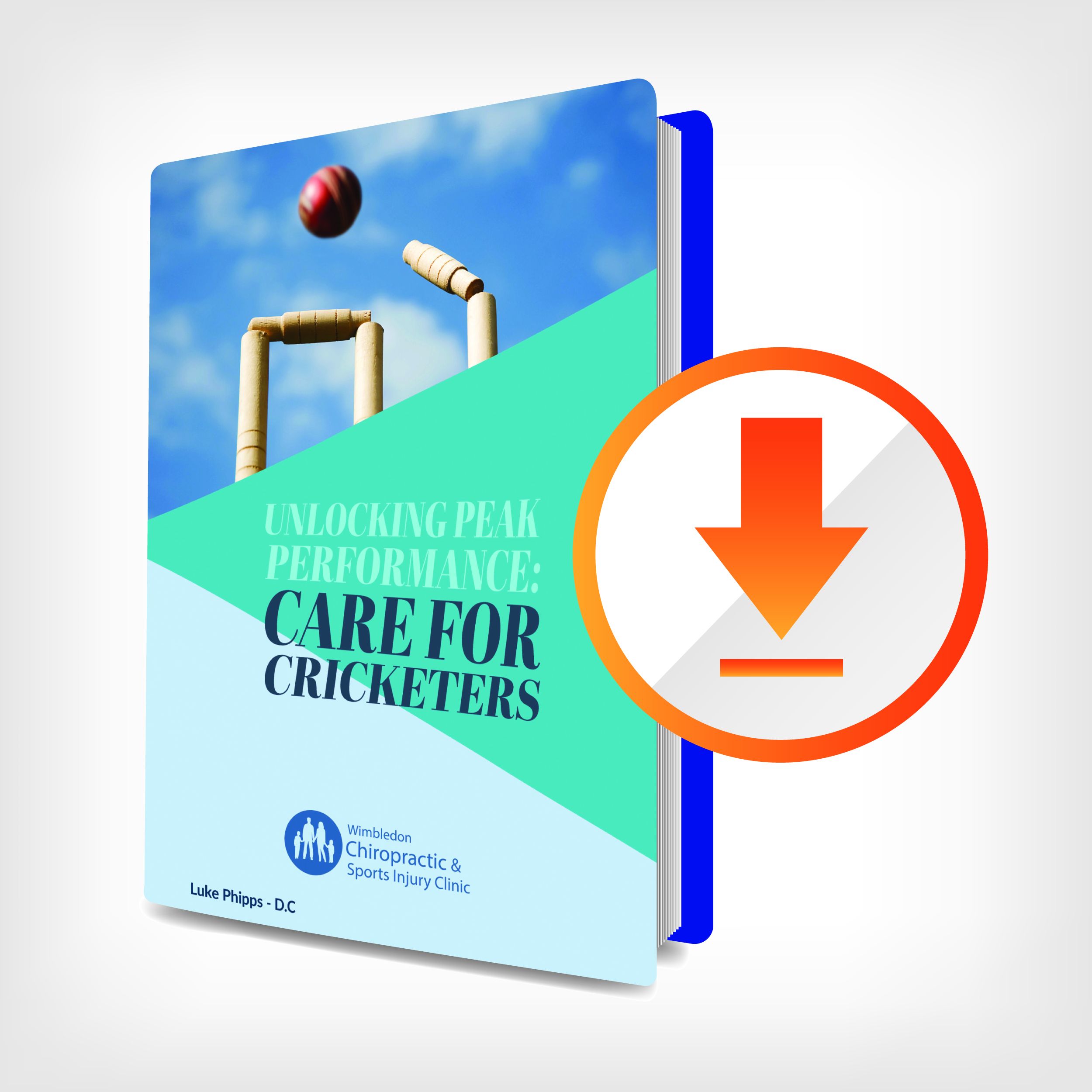 download e-book now